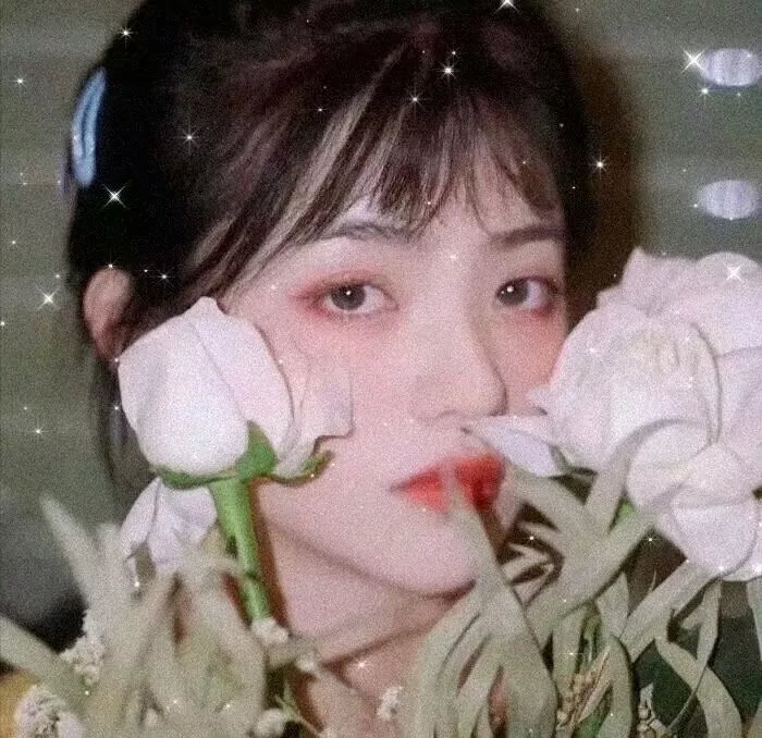 凤仙花